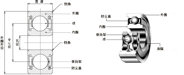 轴承的结构