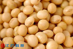 不锈钢轴承在食品加工、生产线上的应用